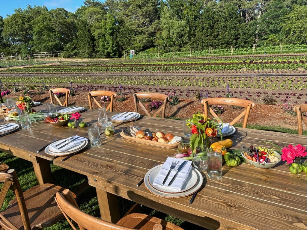 Affordable Farm-to-Table Dining in the USA