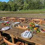 Affordable Farm-to-Table Dining in the USA